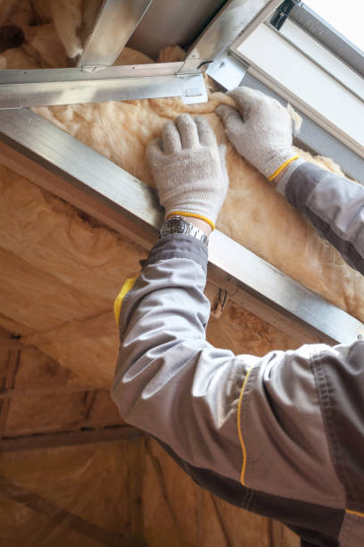 Insulation Replacement Services in Altamont, NY