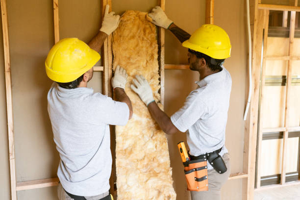 Best Crawl Space Insulation  in Altamont, NY