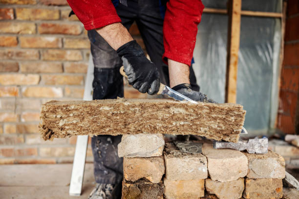Best Attic Insulation Installation  in Altamont, NY