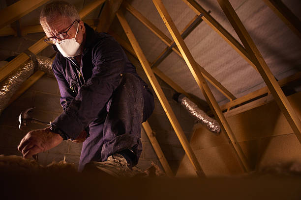 Best Commercial Insulation Contractor  in Altamont, NY